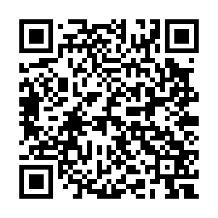 QR code for 2DPP63