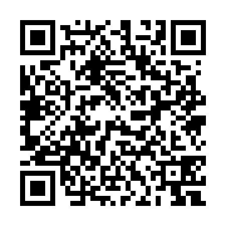QR code for 2DQ7381