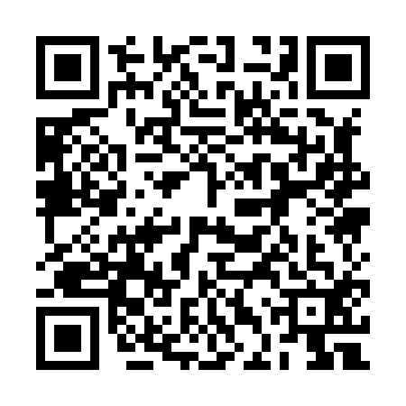 QR code for 2DQ8124
