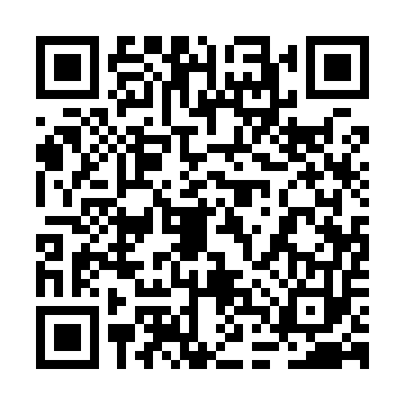 QR code for 2DQ9539