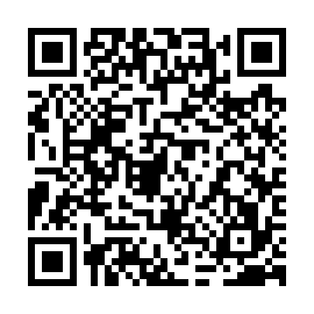 QR code for 2DS7369