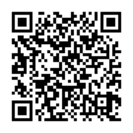 QR code for 2DSP29