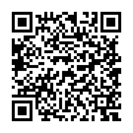 QR code for 2DT8529