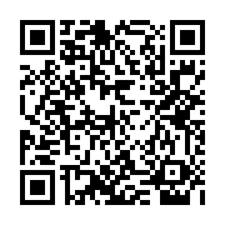 QR code for 2DU6487