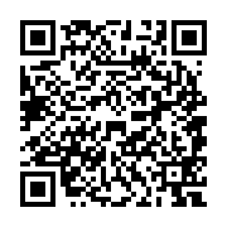 QR code for 2DV2995