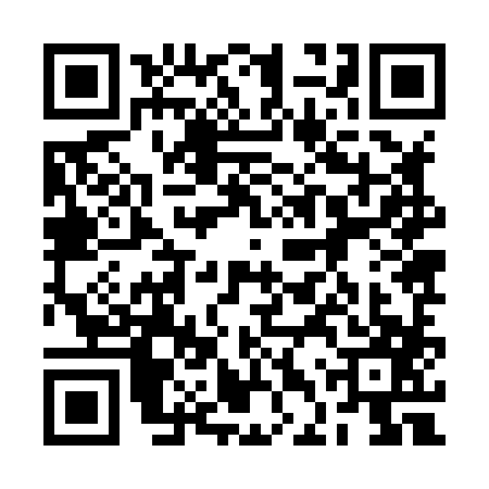 QR code for 2DZ8878