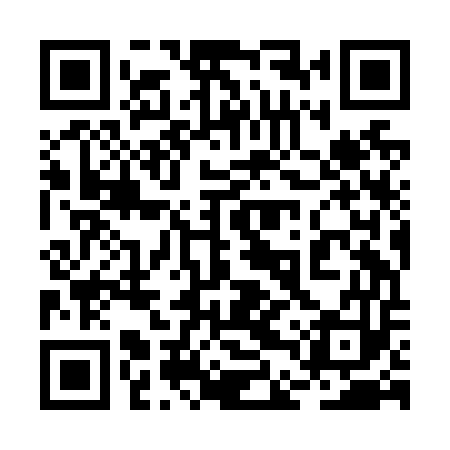 QR code for 2DZN53