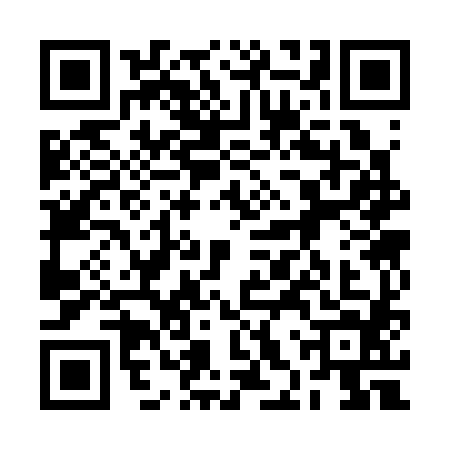 QR code for 2HS3843
