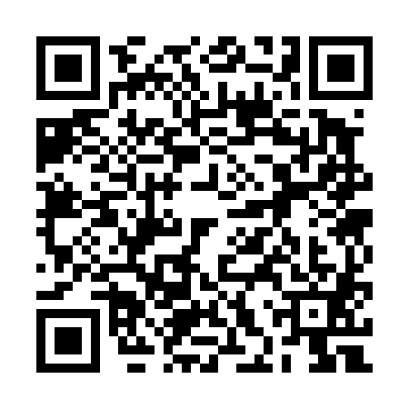 QR code for 2HS4817