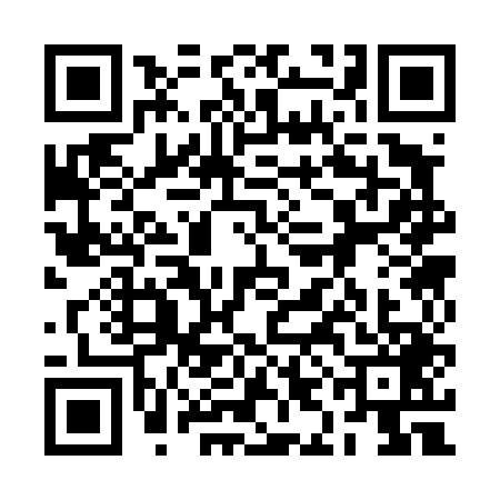 QR code for 2IC4493