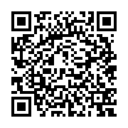 QR code for 2IJ6333