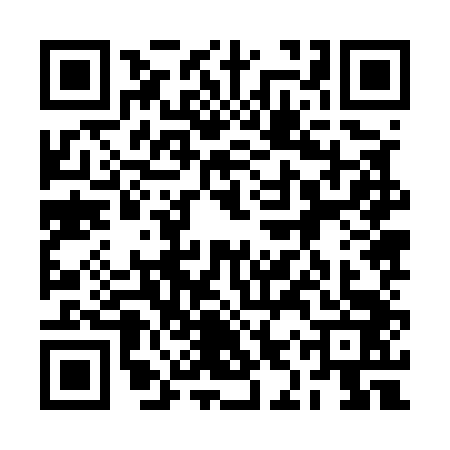 QR code for 2IZ5438