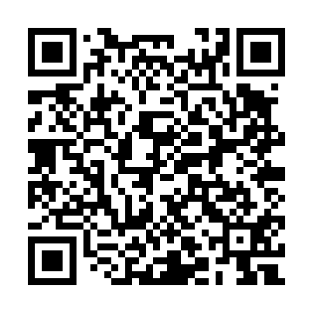 QR code for 2LPT11
