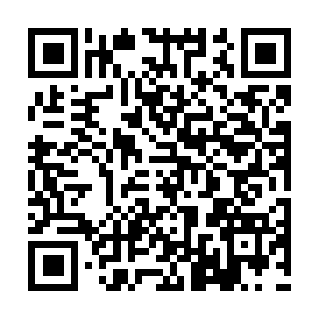 QR code for 2LT6738