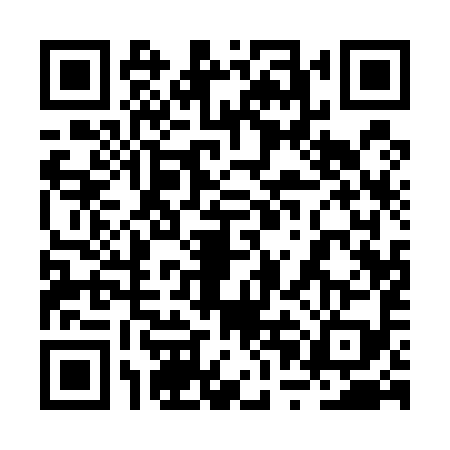 QR code for 2PA5994