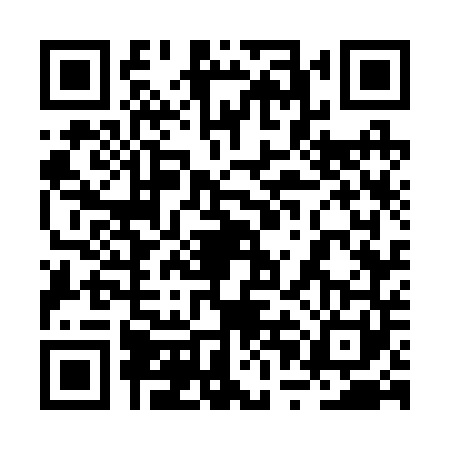 QR code for 2PG2419