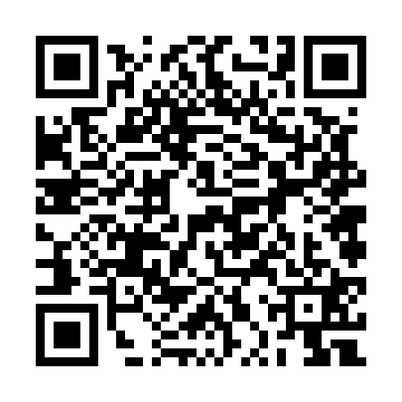 QR code for 2PV5216