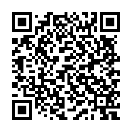 QR code for 2QNN53