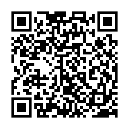 QR code for 2SAC33