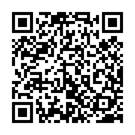 QR code for 2SDT49