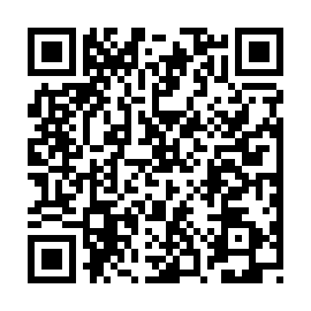 QR code for 2SR1125