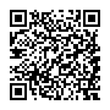 QR code for 2SV9813