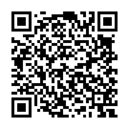 QR code for 2TDL52