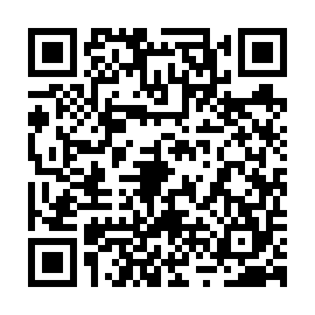 QR code for 2VI6541