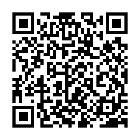 QR code for 2YZG11
