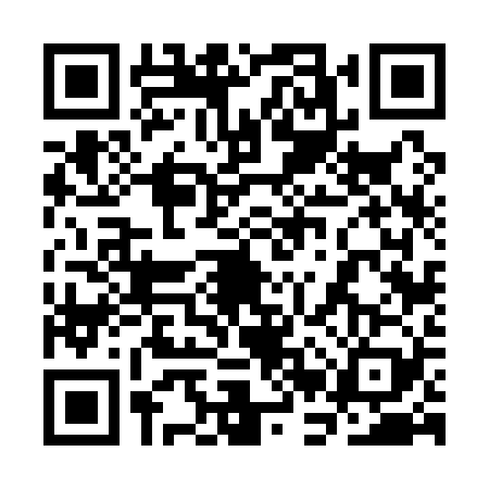 QR code for 3BV1295