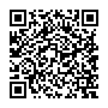 QR code for 3CT9638