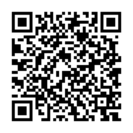 QR code for 3DD4641