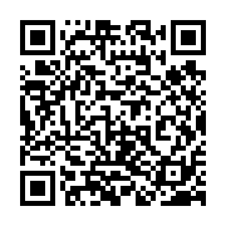 QR code for 3DGV11