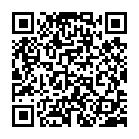 QR code for 3GOV99