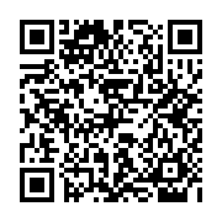 QR code for 3IP3868