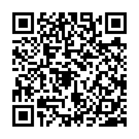 QR code for 3IP6381
