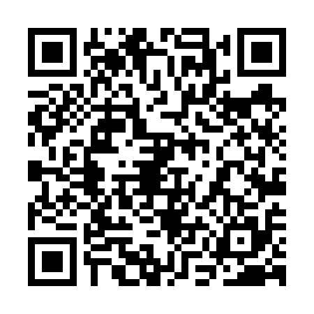 QR code for 3ML6155