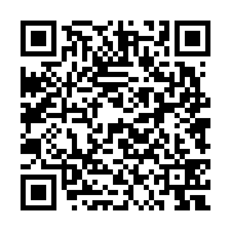 QR code for 3QT6397