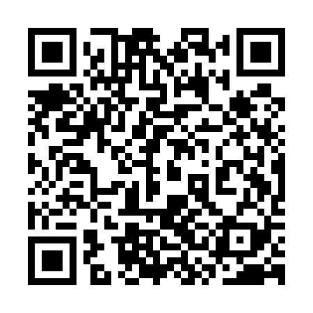 QR code for 3SAE29