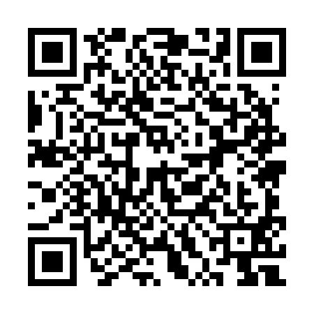 QR code for 3XM2919