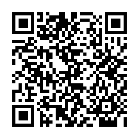 QR code for 4AP3868