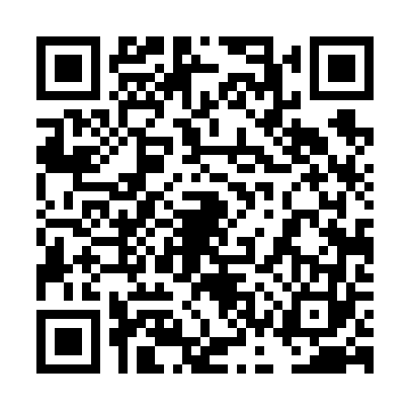 QR code for 4CT6636