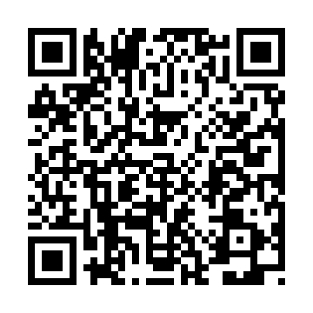 QR code for 4CZ9919