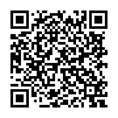 QR code for 4DIM13