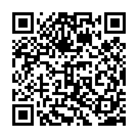 QR code for 4DMT51