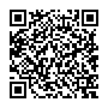 QR code for 4DN8334