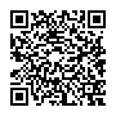 QR code for 4FN1334