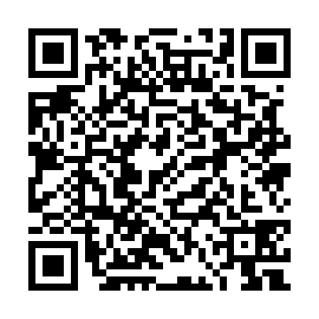 QR code for 4FQ5381