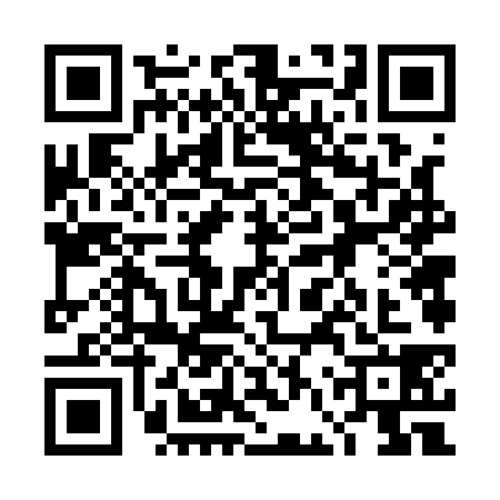 QR code for 4FV1381