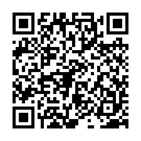 QR code for 4II2929